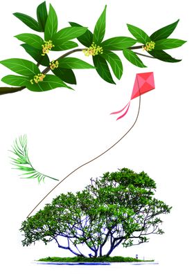 树叶枝头风筝素材