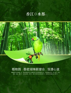 动物园创意视觉海报鹦鹉自然