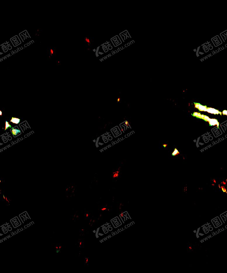 编号：94814705011112171244【酷图网】源文件下载-数码印花匹布面料设计豹纹