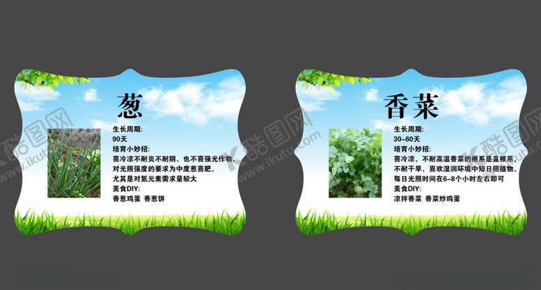 编号：27579802271715555273【酷图网】源文件下载-葱香菜标签