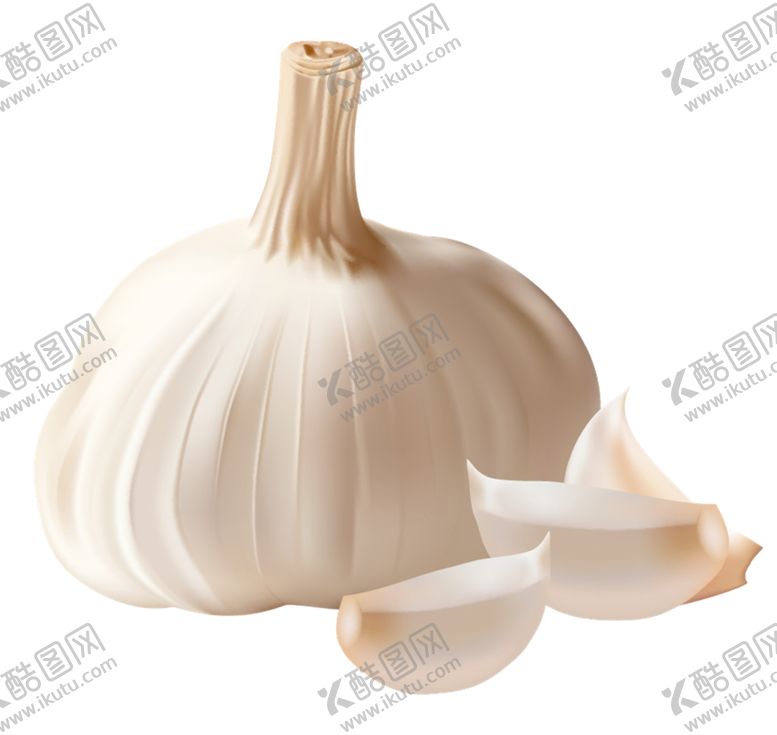 编号：57215610220218024814【酷图网】源文件下载-大蒜
