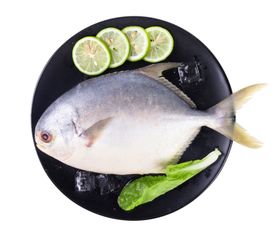 巴浪鱼