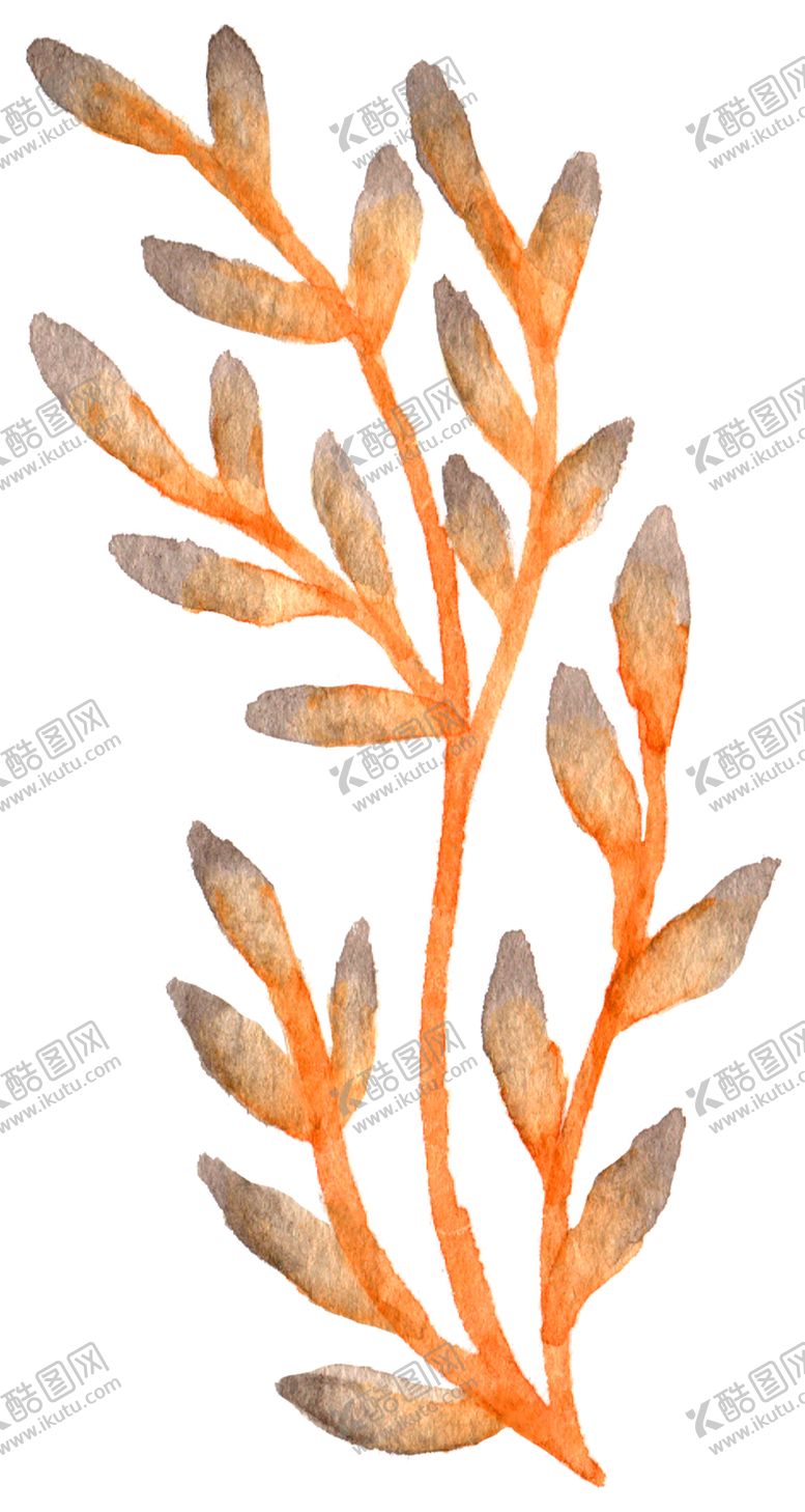 编号：98370109210905045264【酷图网】源文件下载-手绘植物