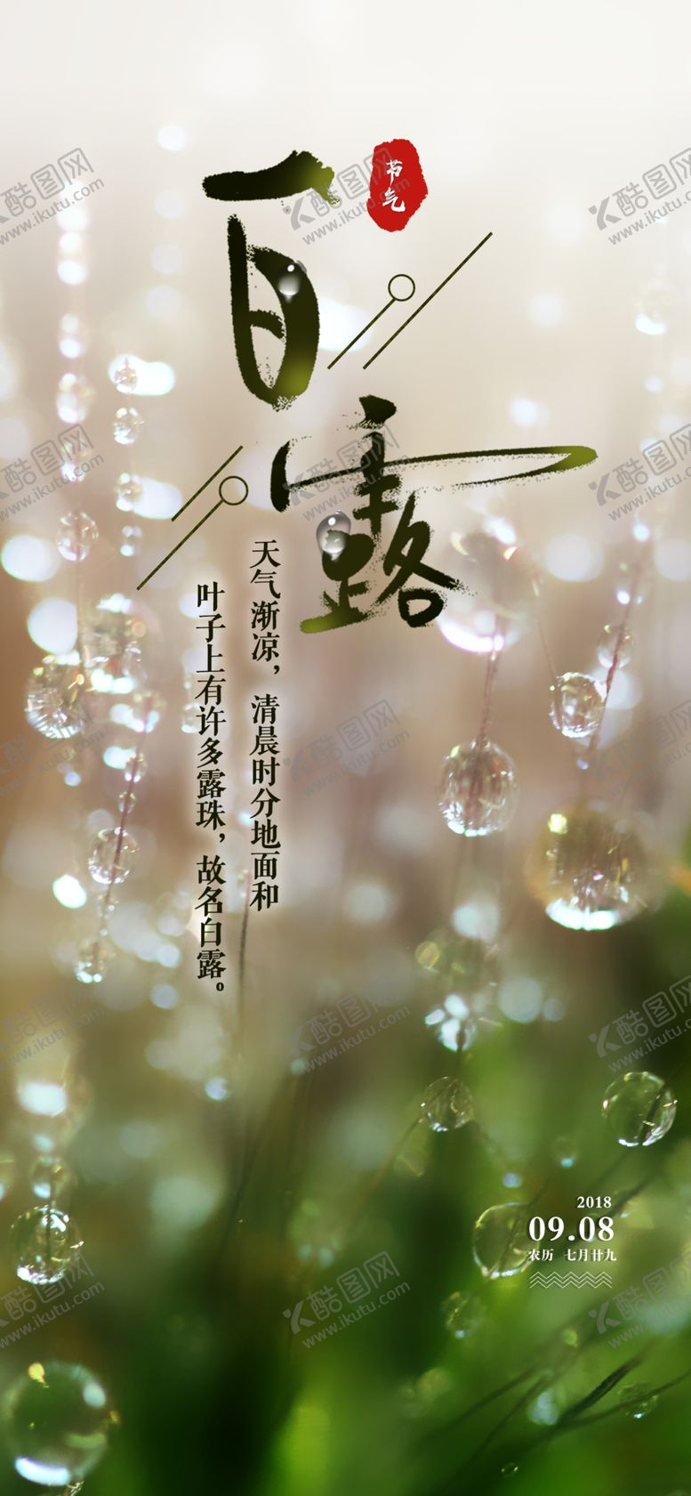 编号：91001009282349161375【酷图网】源文件下载-白露