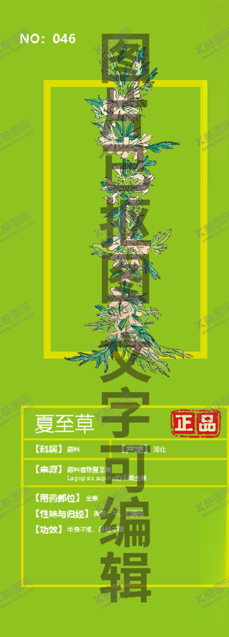 编号：60821809252251216316【酷图网】源文件下载-夏至草