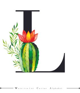 字母与水彩仙人掌组合字体