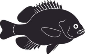 海洋生物系列海鱼
