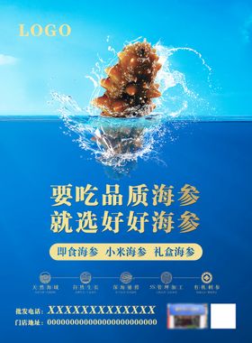 海参食材海报