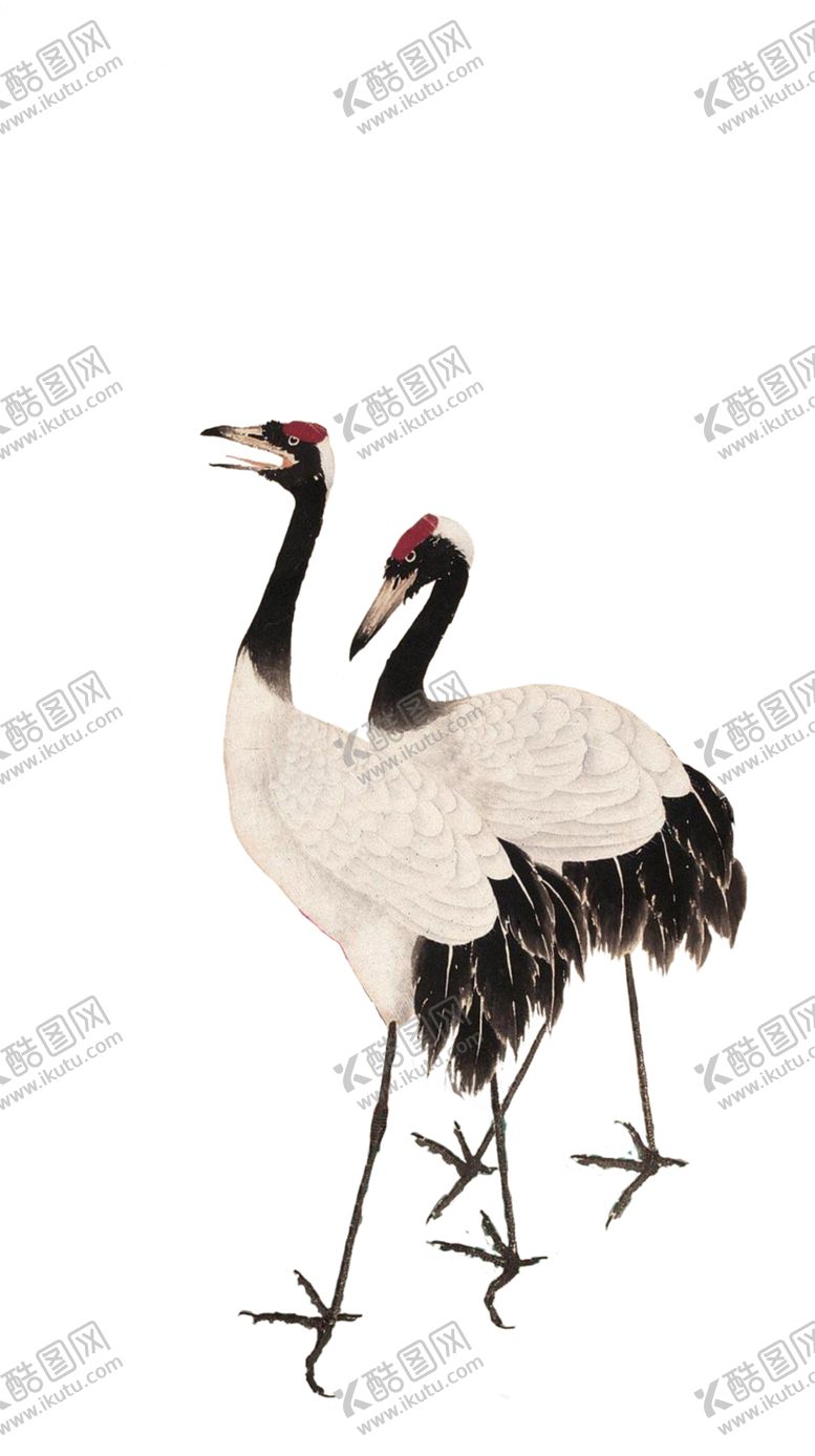 编号：55164406240123125556【酷图网】源文件下载-仙鹤