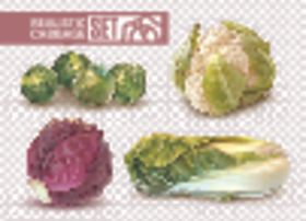 蔬菜