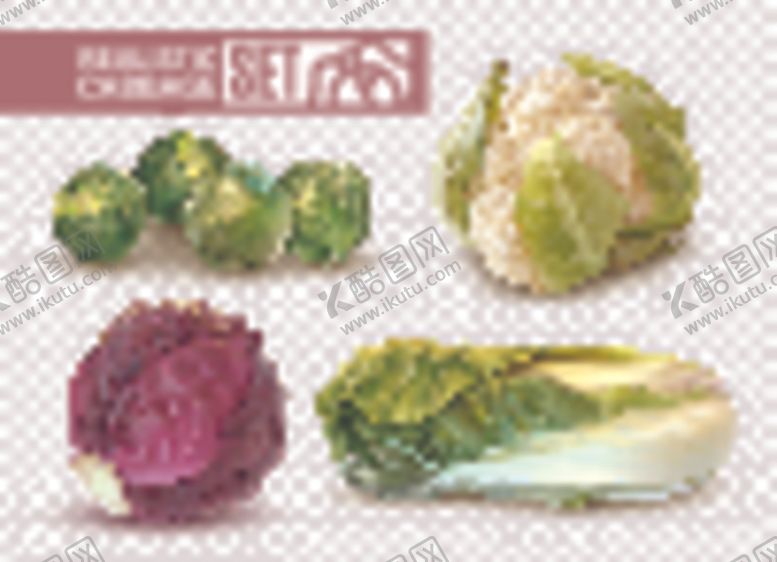 编号：11221209261856306446【酷图网】源文件下载-蔬菜