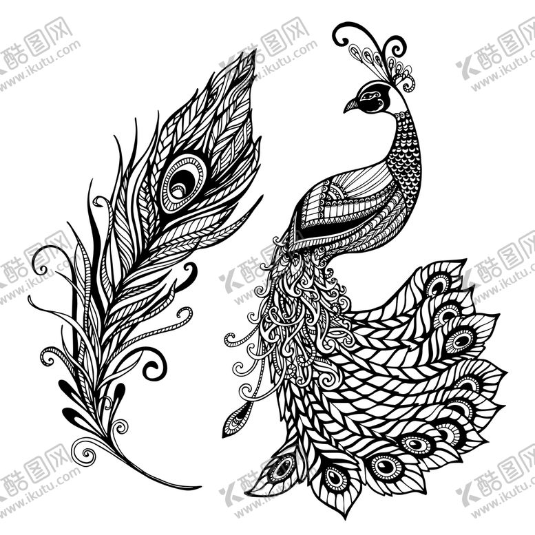 编号：42860709280119177589【酷图网】源文件下载-孔雀线稿
