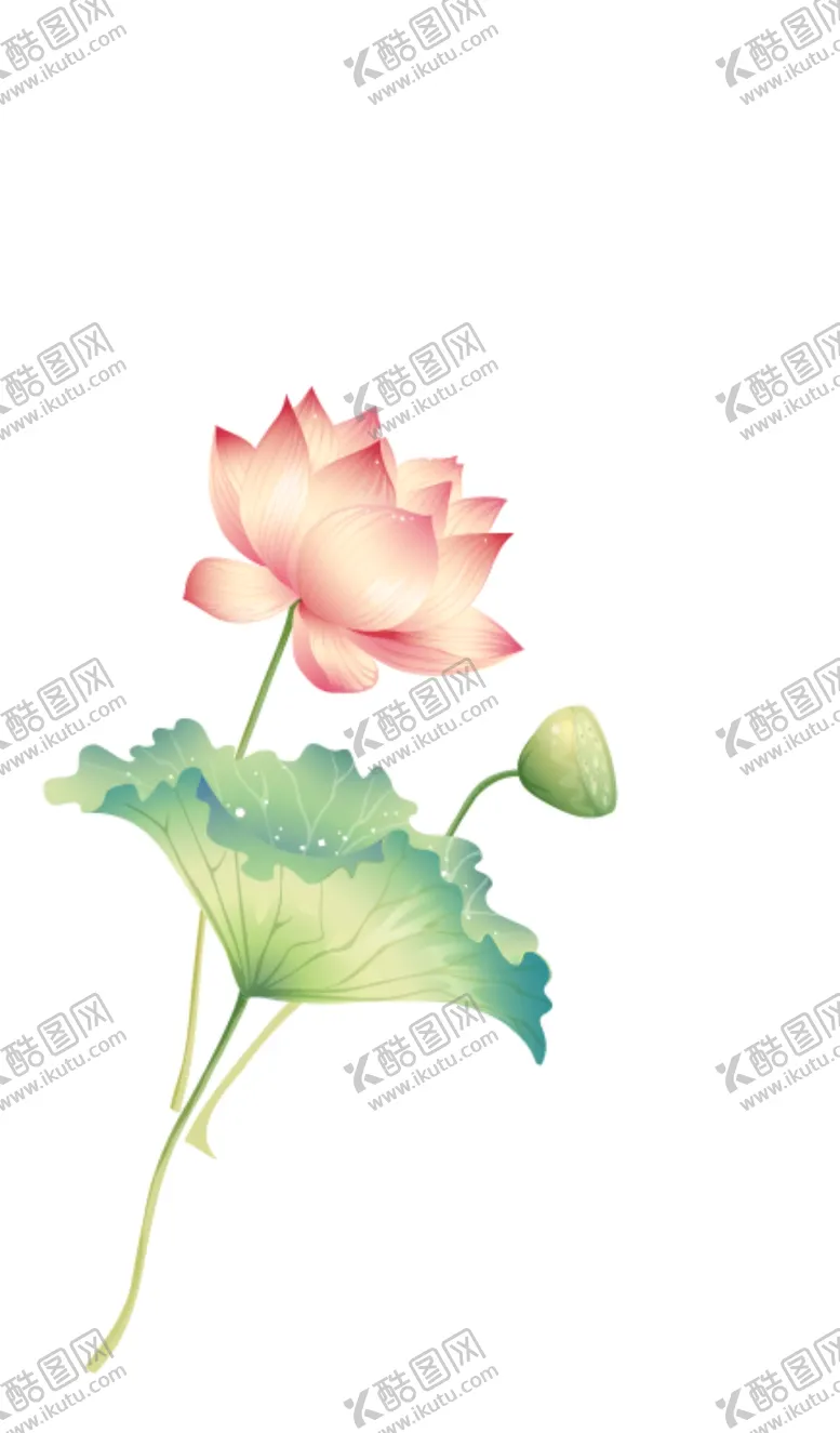 编号：65769006290113342620【酷图网】源文件下载-荷花