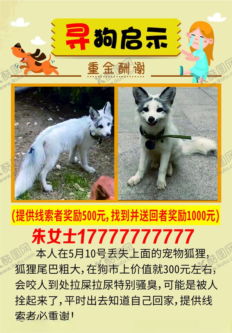 编号：41713202161730359509【酷图网】源文件下载-寻狗启示
