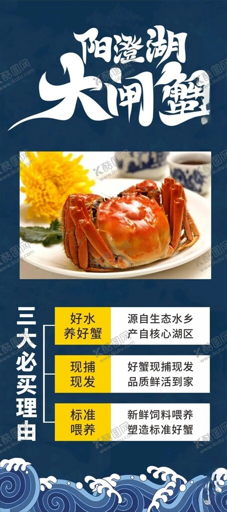编号：70695612131724192509【酷图网】源文件下载-大闸蟹
