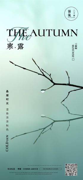 寒露海报珠树枝二十四节气