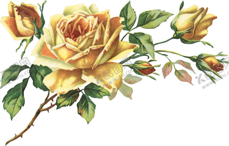 编号：78842310061449465717【酷图网】源文件下载-复古鲜花主题装饰图案