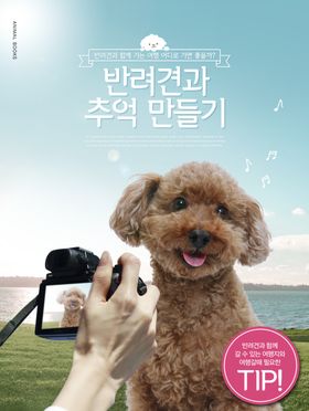创意动物合成图片