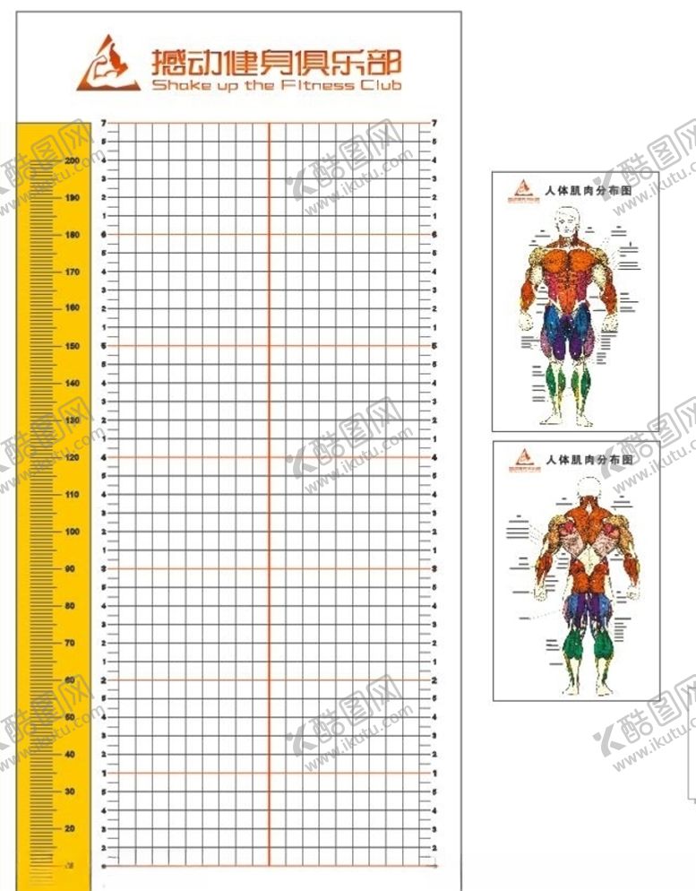 编号：10491109250524381094【酷图网】源文件下载-肌肉分布图