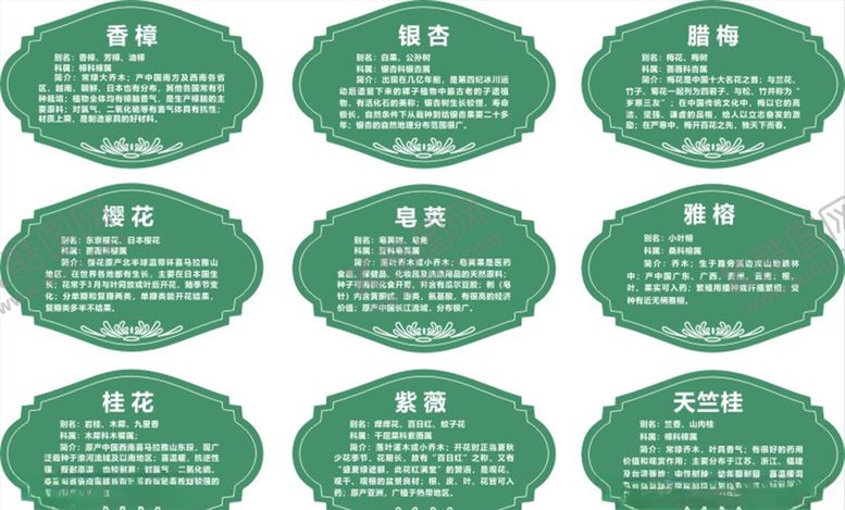 编号：61147210281636461629【酷图网】源文件下载-植物名牌