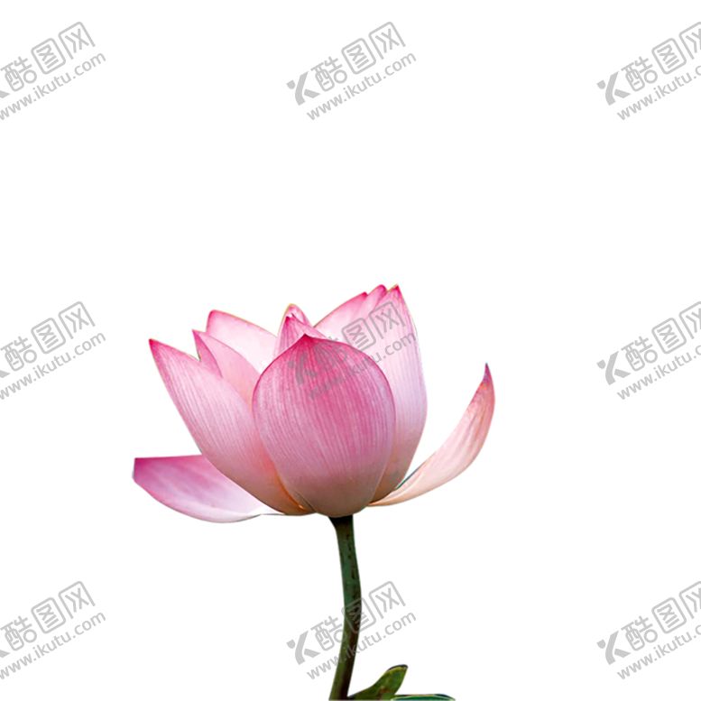 编号：97346907040049224554【酷图网】源文件下载-绿色相框
