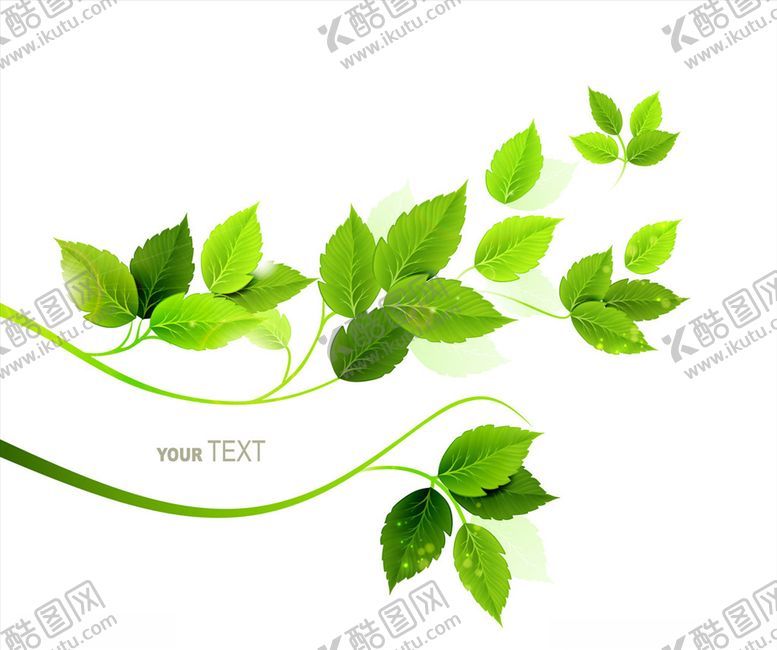 编号：42538511011400019516【酷图网】源文件下载-树枝树叶