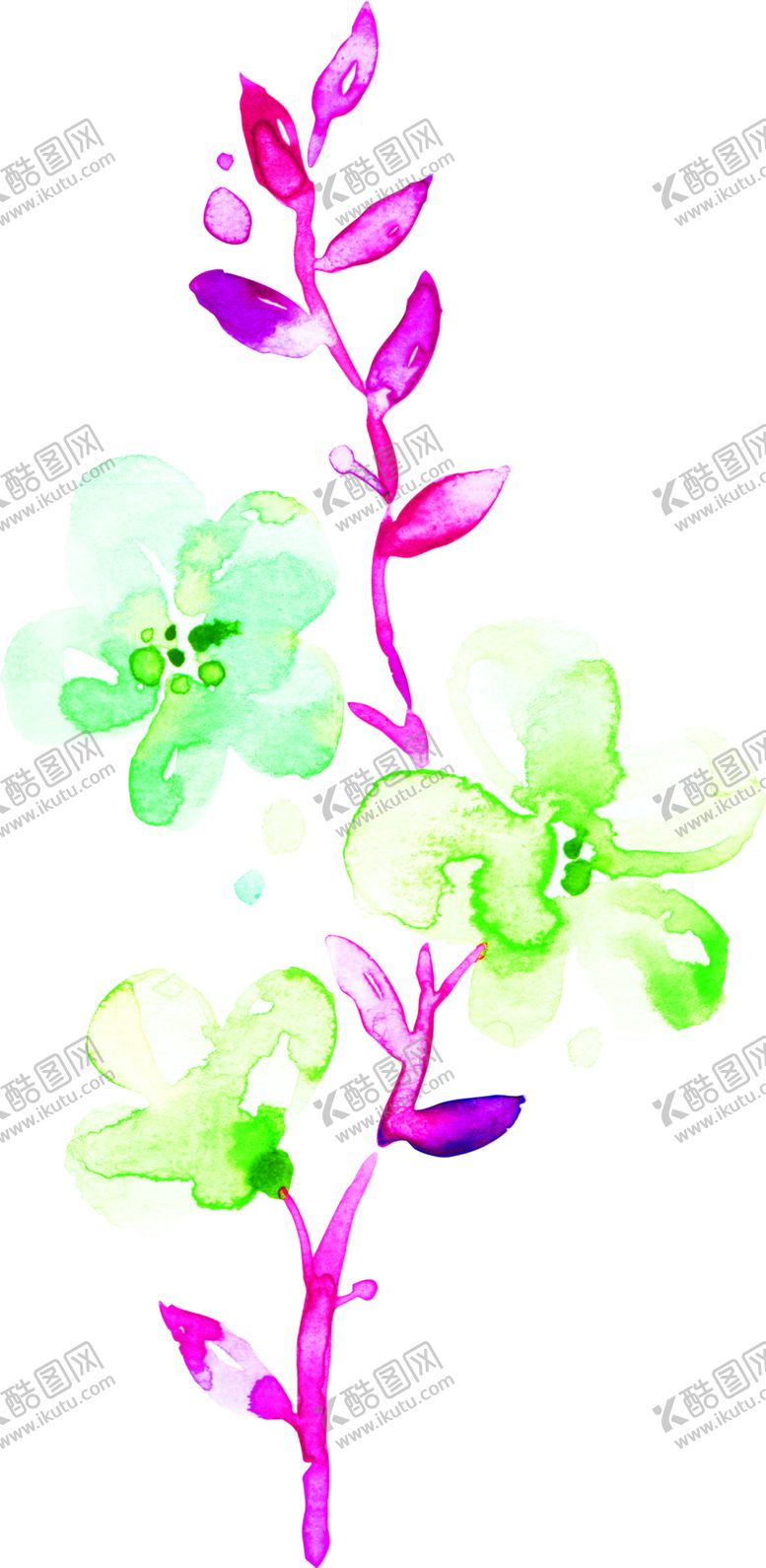 编号：91706710061338583714【酷图网】源文件下载-花素材