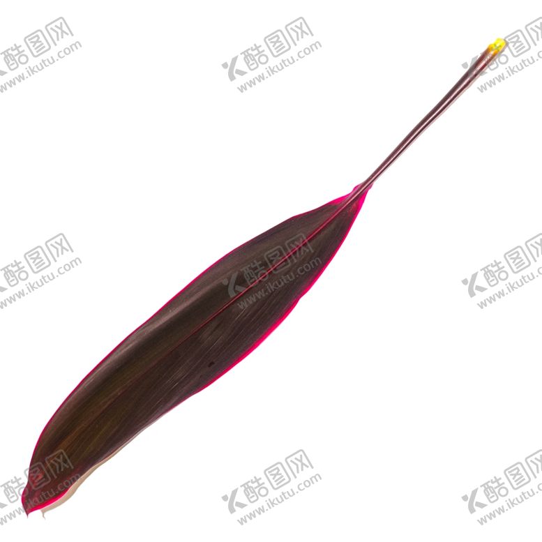 编号：61026909161509039939【酷图网】源文件下载-树叶