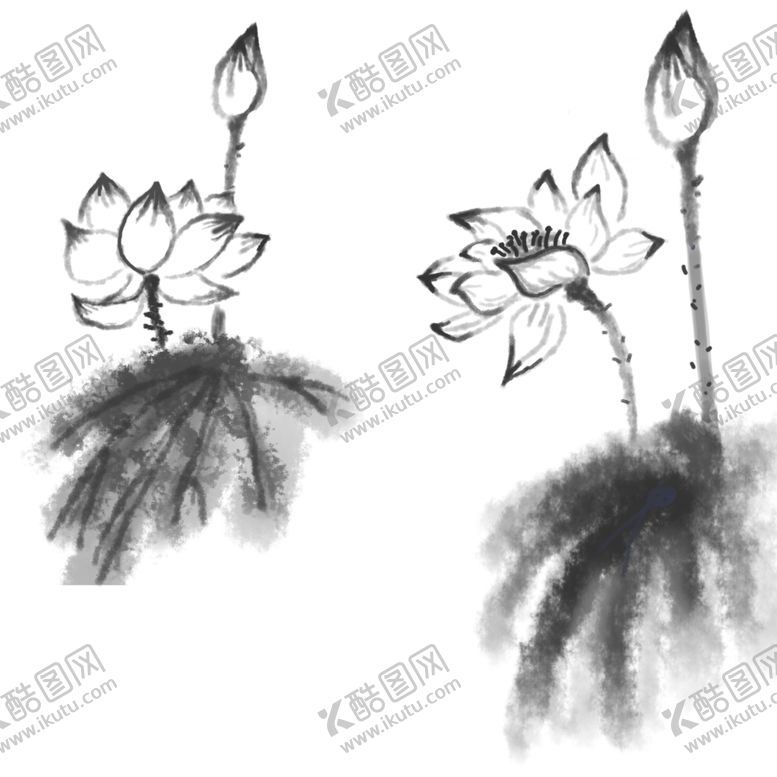 编号：77390909191518509646【酷图网】源文件下载-荷花