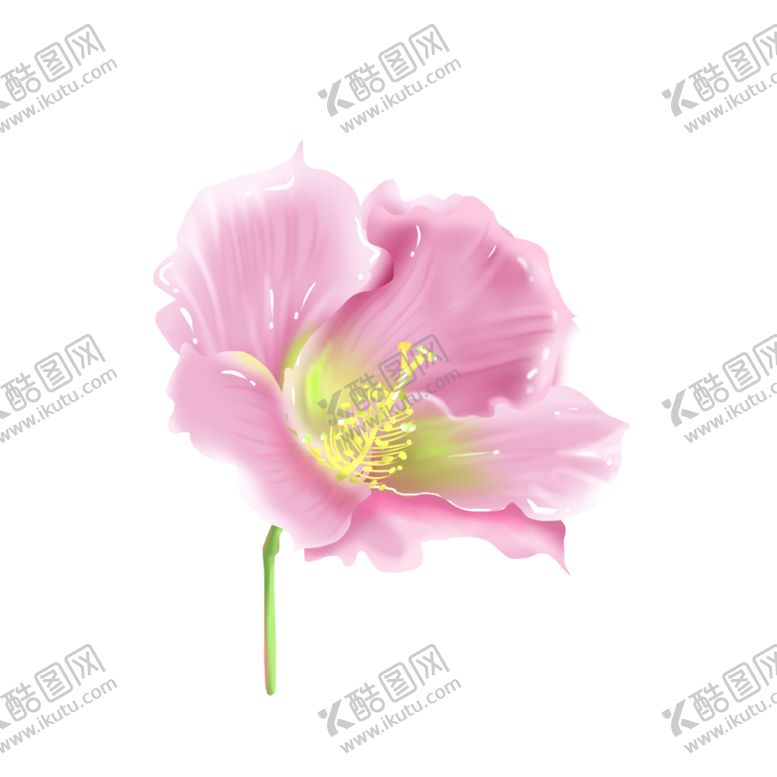 编号：87357302090322558736【酷图网】源文件下载-粉色花