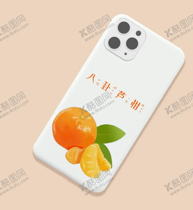 编号：14399206281020555315【酷图网】源文件下载-芦柑