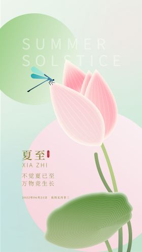 小清新二十四节气夏至海报