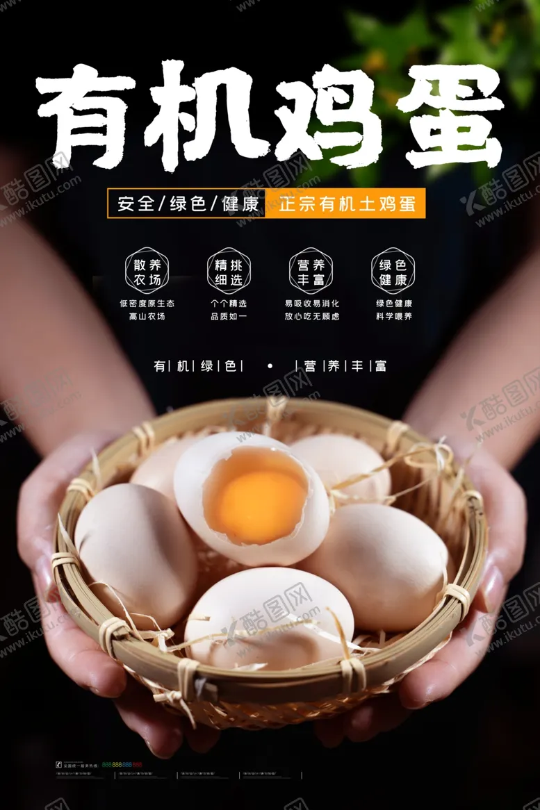 编号：12914801191331056298【酷图网】源文件下载-土鸡蛋海报