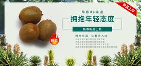猕猴桃