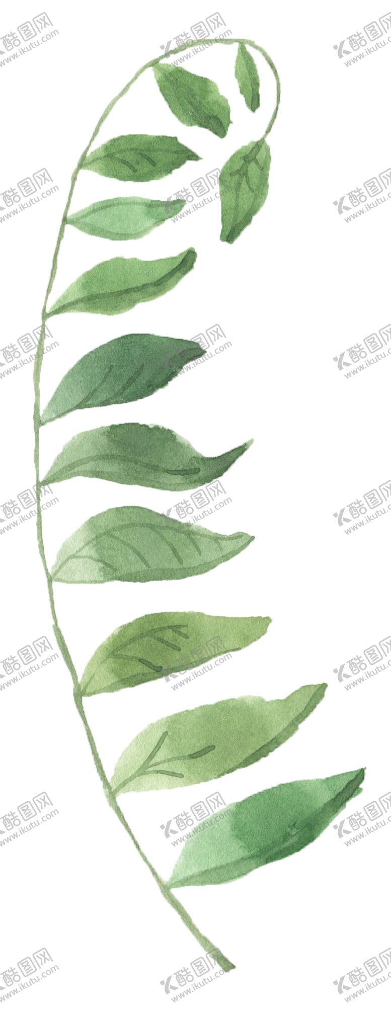 编号：27980205042033041548【酷图网】源文件下载-手绘植物花卉
