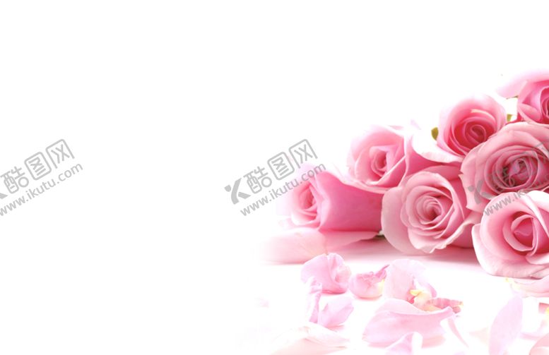 编号：27102209151733272066【酷图网】源文件下载-手绘植物花卉