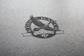 样机logo展示VIS包装设计品牌