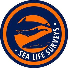 海洋logo