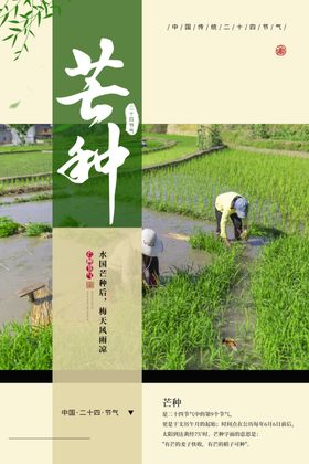 芒种海报广告朋友圈微信