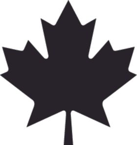 植物系列掌形树叶