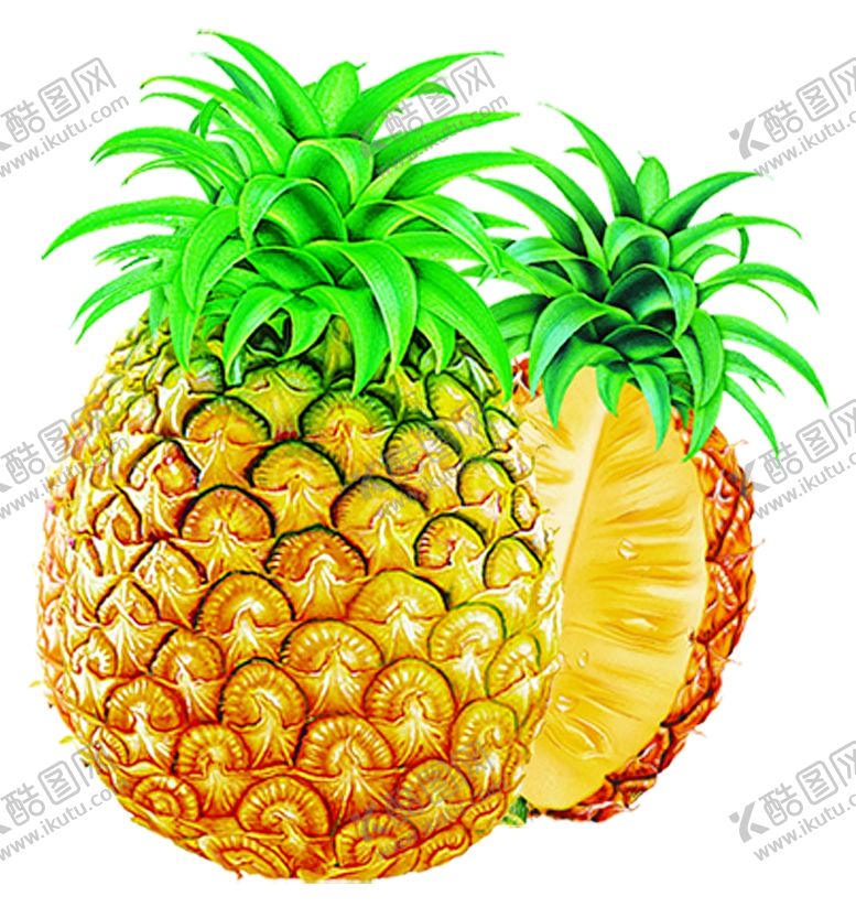 编号：80905509120418009705【酷图网】源文件下载-菠萝