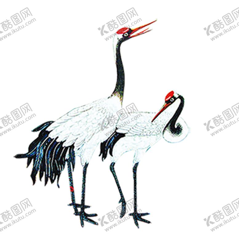 编号：62156010290351545355【酷图网】源文件下载-仙鹤