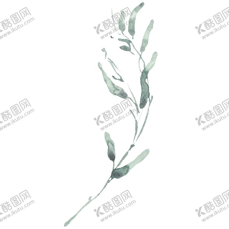 编号：31344806260219205325【酷图网】源文件下载-小清新水彩植物树枝