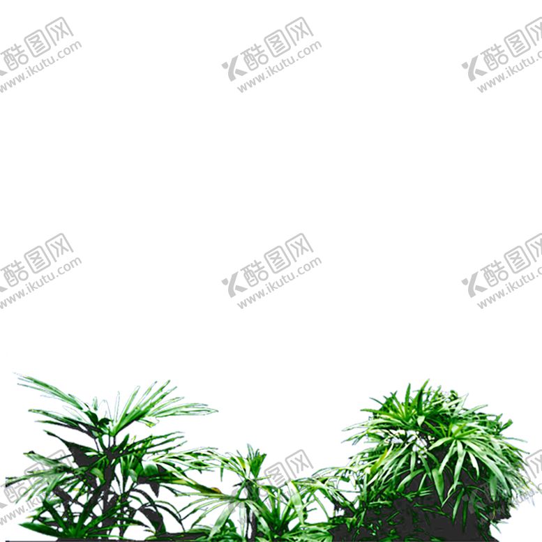 编号：58518010071856167673【酷图网】源文件下载-绿色装饰