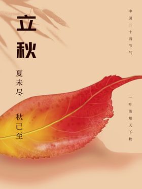 立秋地产海报地产分24节气