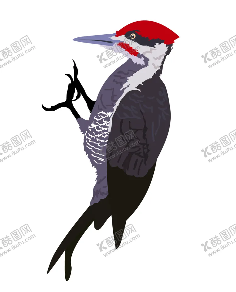 编号：24954804180648245123【酷图网】源文件下载-啄木鸟