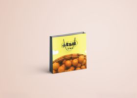 面膜包装样机