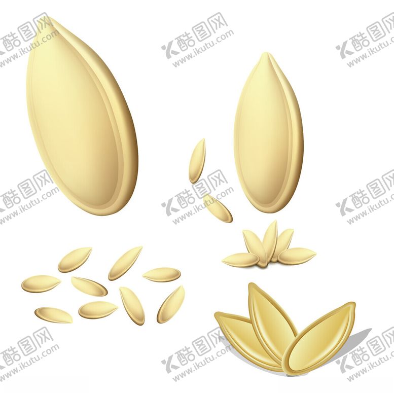 编号：88812501201706209133【酷图网】源文件下载-南瓜子