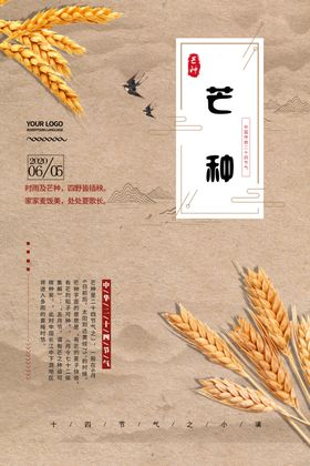 芒种海报