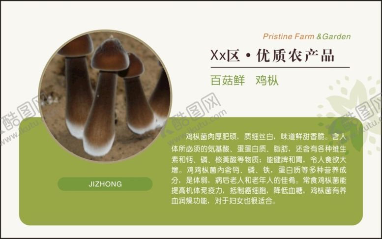 编号：46568801251155021635【酷图网】源文件下载-鸡枞 生态农业